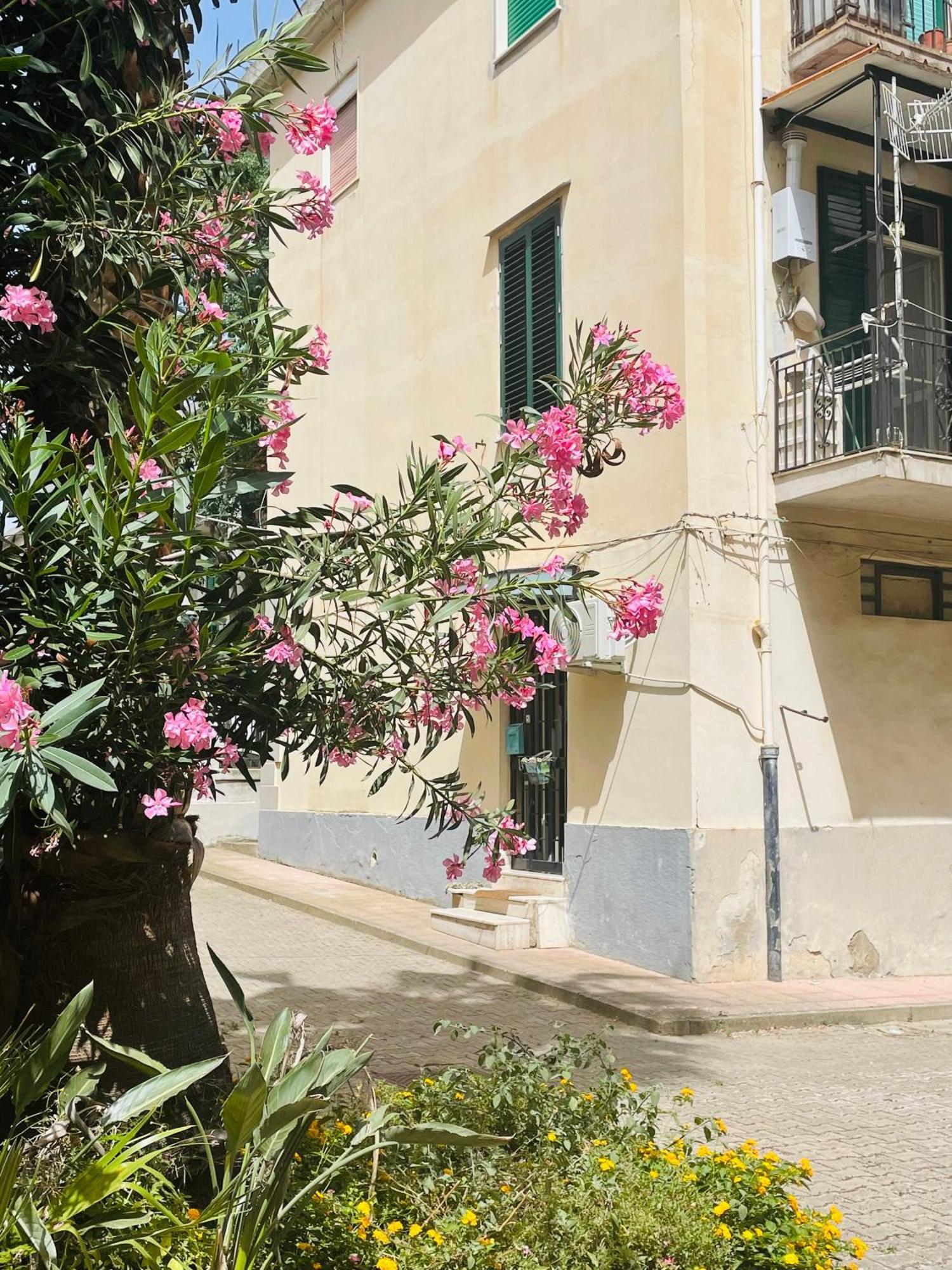 Your Temporary Home - City Center Messina Exteriör bild